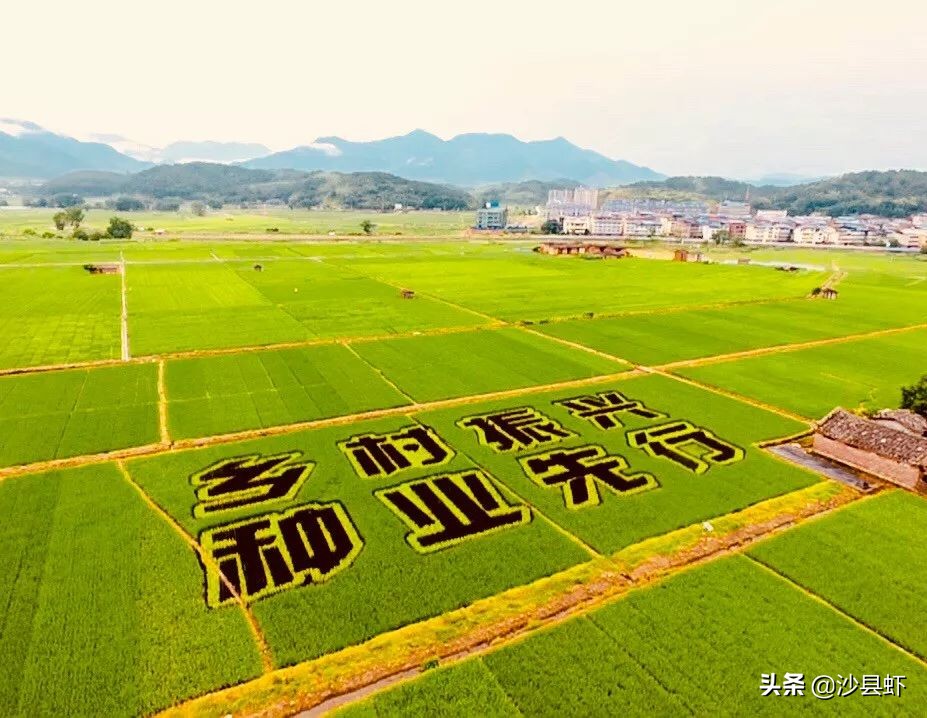 沙县总共有几个乡镇,沙县是属于哪个市