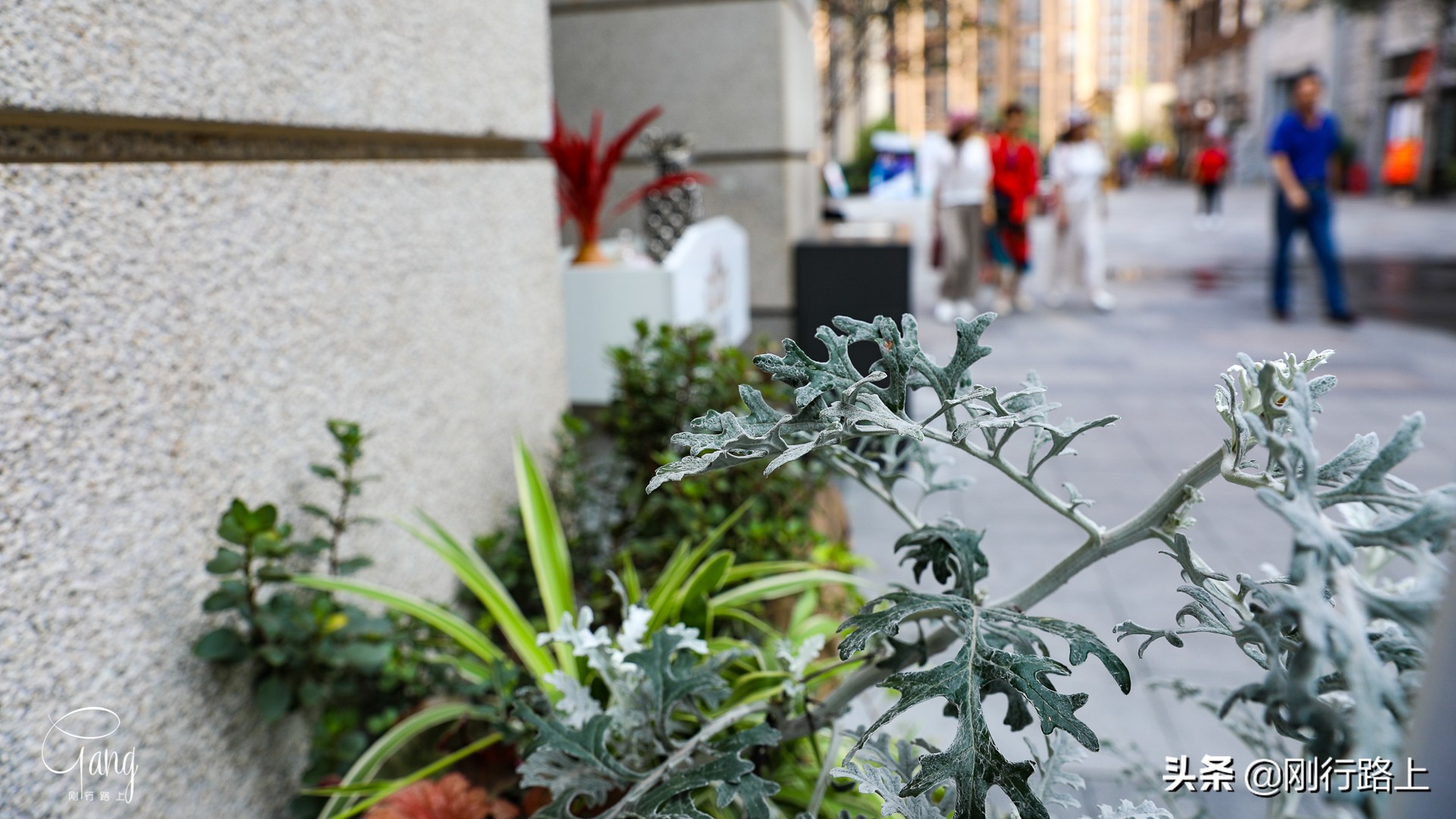 重庆山城老街图,重庆弹子石老街对比山城步道