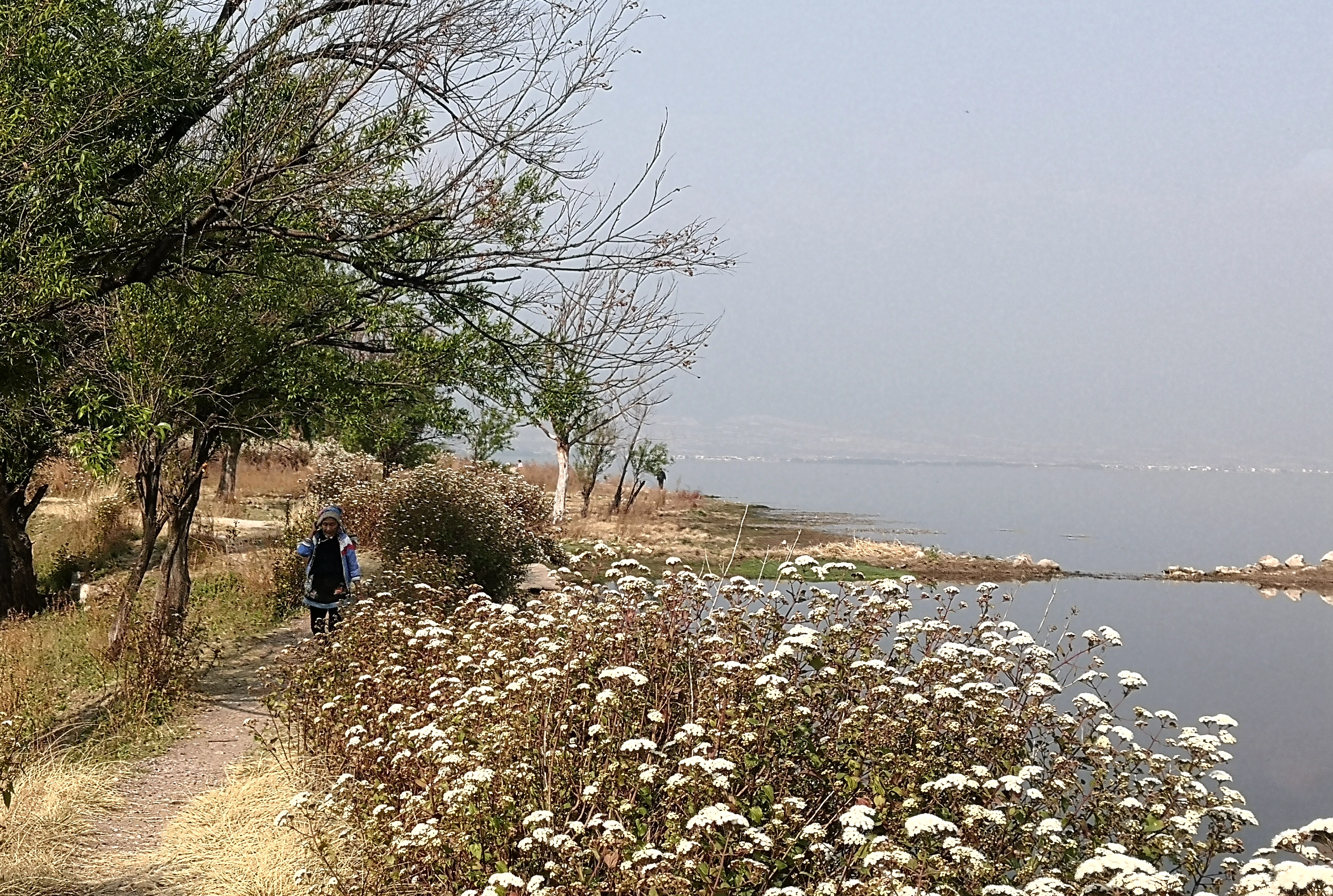 洱海值得去的地方,洱海真正值得去的地方