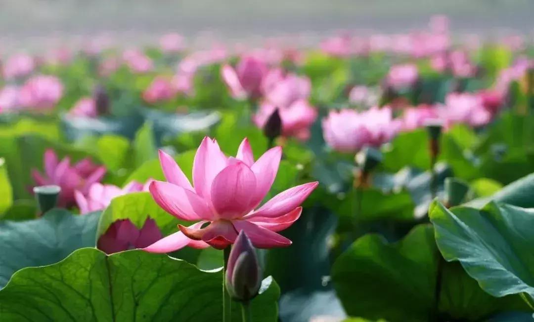 威海游览,威海玩美攻略潮玩街区