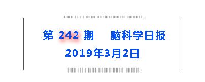 基因修复技术治好精神分裂症,基因治疗精神疾病最新突破