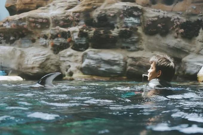 不一样的大阪三日游,瑠璃一束光,值得一来再来