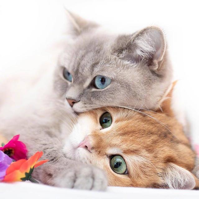 幽默笑话看一遍笑一遍专治不开心,动态幽默笑话最新