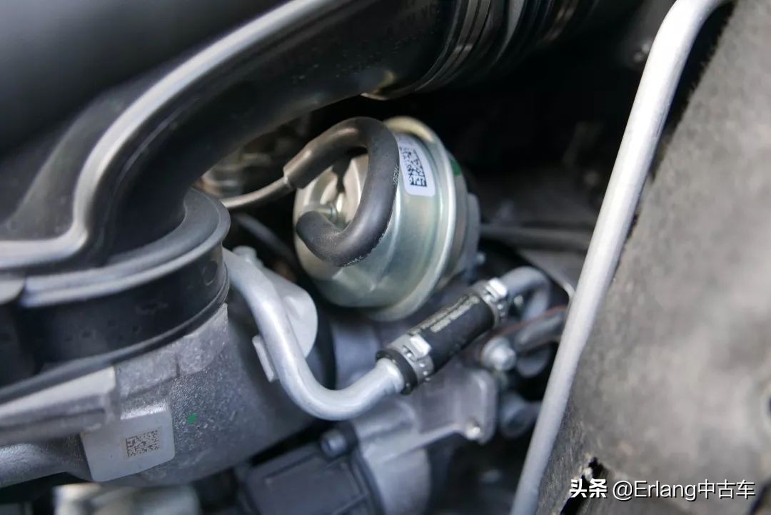 消失的陆地中文版,消失了的陆地