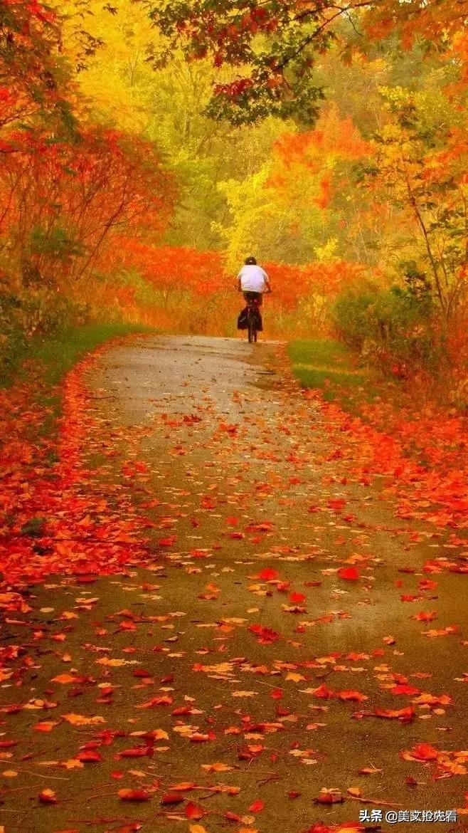 秋天到家乡,秋天在我身边走过