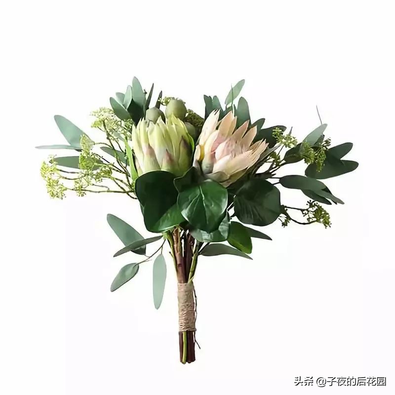 花店常用的配花配草有哪些方法,常见配花配草