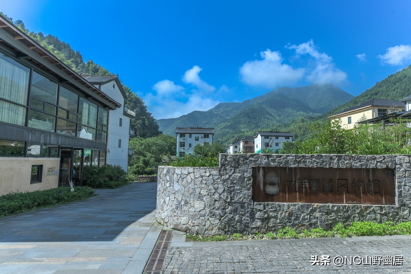 衢州民宿有竹子,衢州柯城郊区民宿