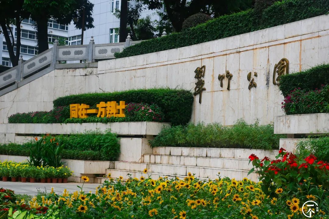 深圳一座被高估的城市,深圳严重被低估的板块