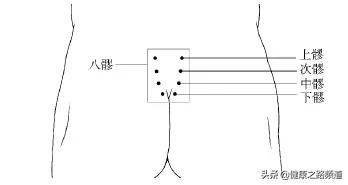 三甲医院女性入职体检必检项目,三甲医院检查血结果准确吗
