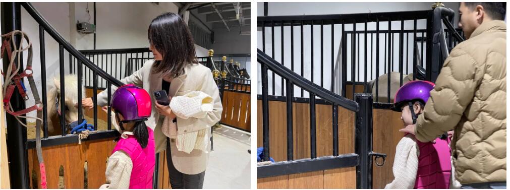 徐州英骐国际马术,徐州英琪国际马术中心