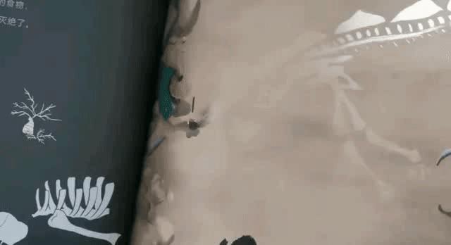 霍思燕喂嗯哼“吃百科全书”？与黄磊不谋而合！同款绘本都火了