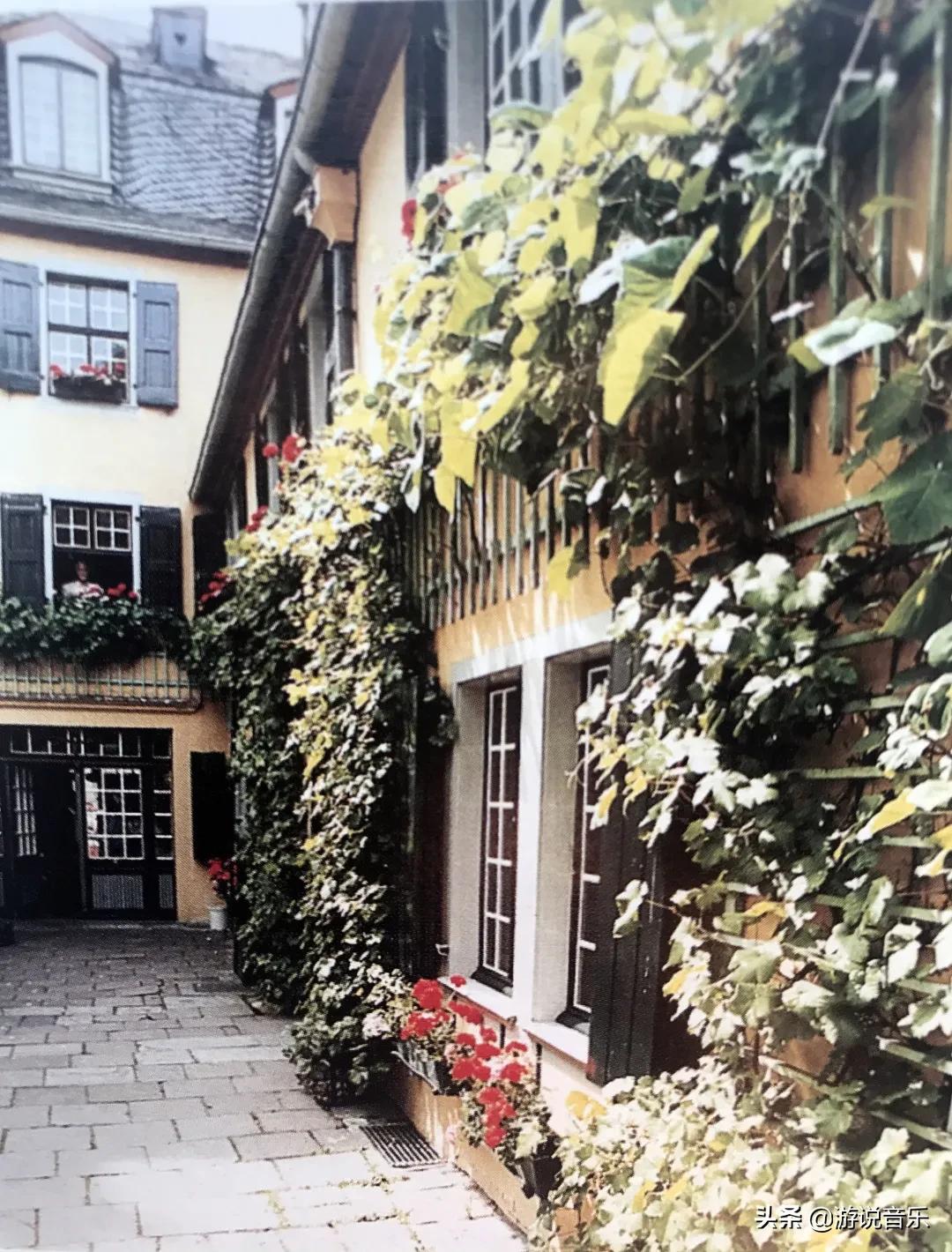 贝多芬音乐致爱丽丝,贝多芬交响曲十大名曲致爱丽丝