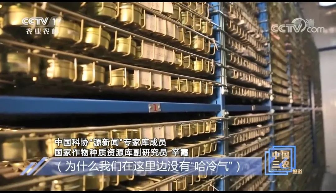 种子如何进入种质库,什么样的种子才可以选入种质库