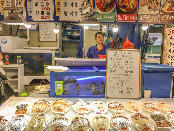 韩国一杯咖啡钱飞济州岛，疫情尚未结束，不如先云游济州岛