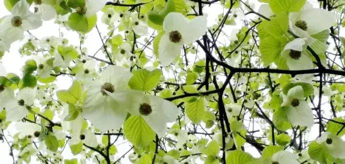 五一小长假去哪里玩四川,五一节四川附近2-3天短途旅游攻略