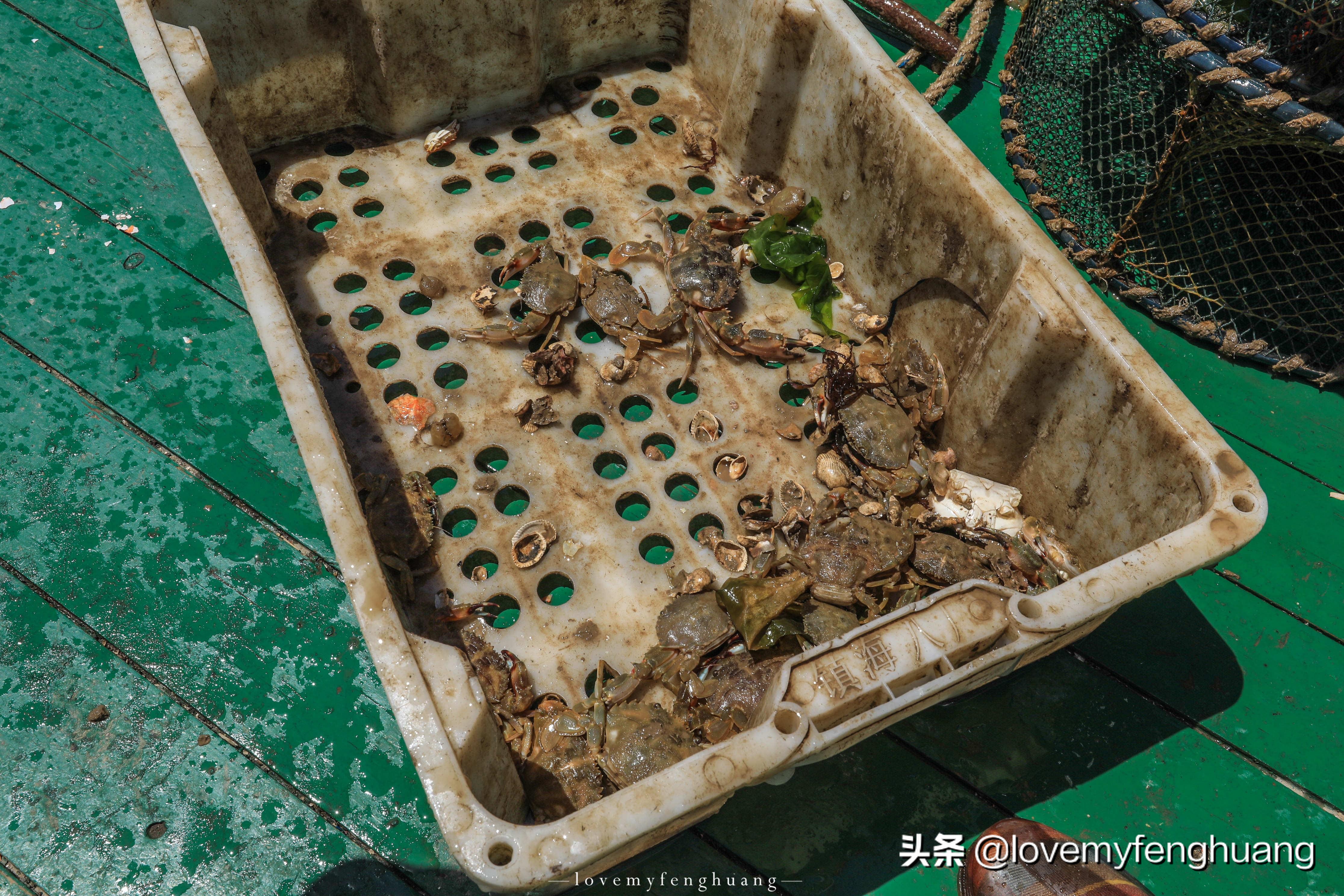 普陀山出海捕鱼一日游,小普陀横山岛