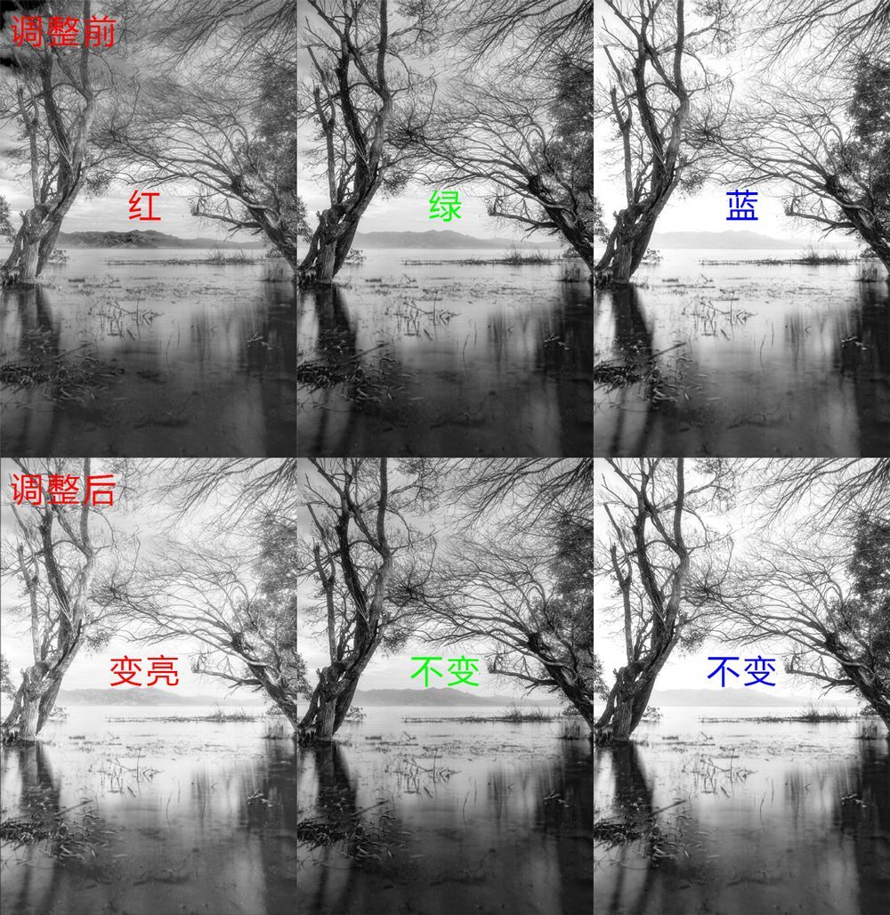 曲线要怎么记容易学得快,曲线难学吗