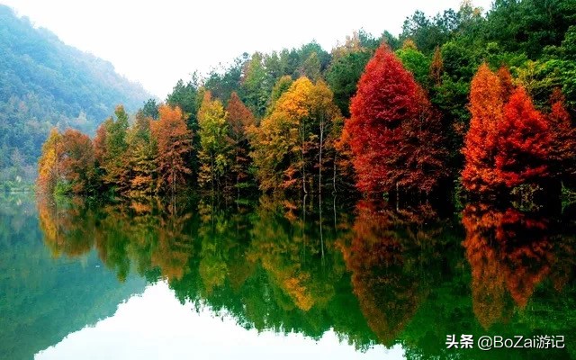 广西乡下田园最美风景图片,广西十大最美风景区