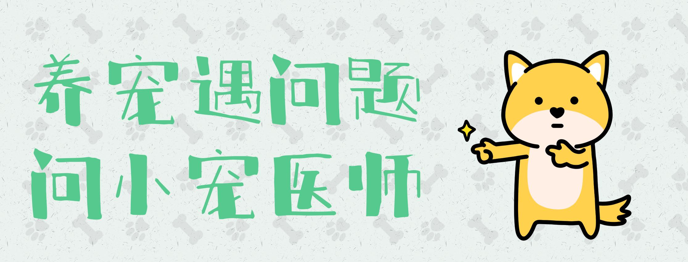 小宠肤可安猫咪用的好吗,用小宠肤可安给猫洗澡