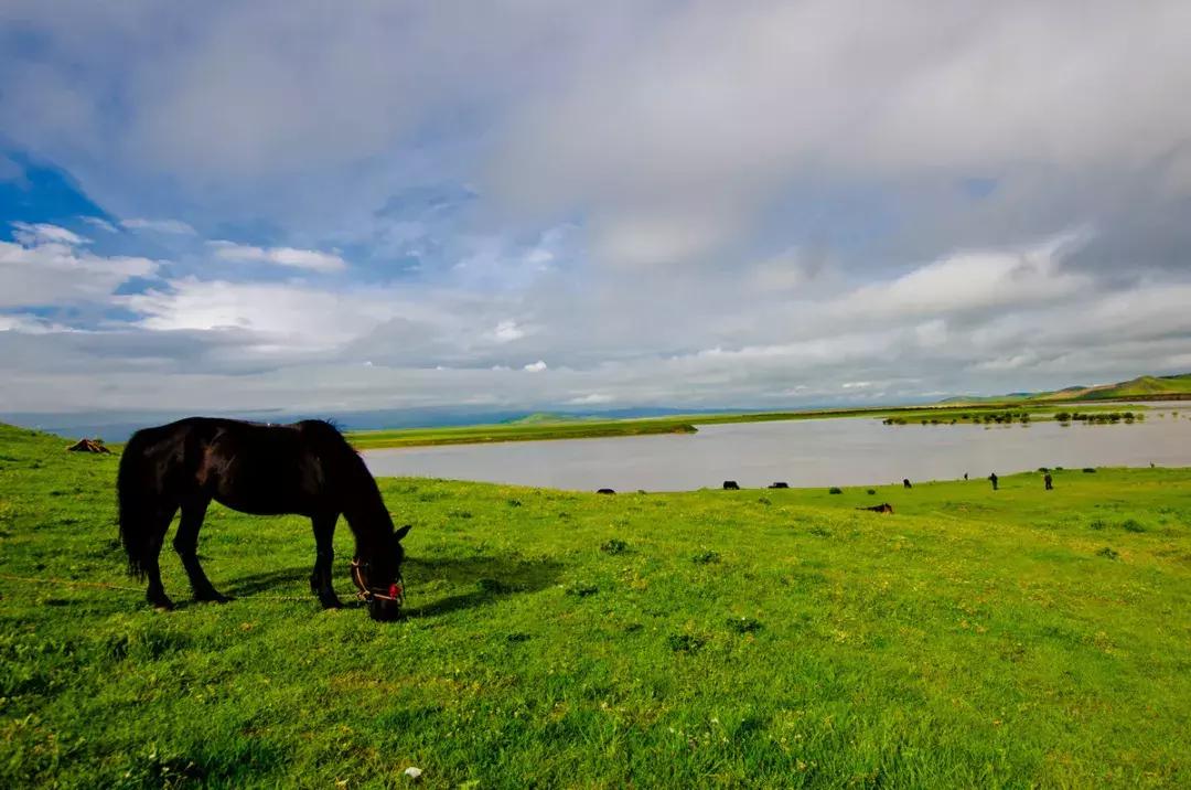 每一次自驾都是一次洗礼,用一场自驾游拓展生命的宽度