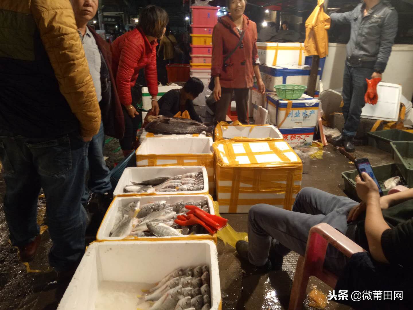 莆田的海鲜批发市场,莆田最大的海产品批发市场在哪里