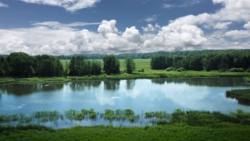 德国喜宝hipp有机婴幼儿配方奶粉,德国hipp喜宝润唇膏