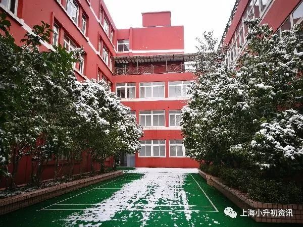 浦东这所学校堪称裸考之王！没有亲爹照顾，靠鸡血杀出一条路