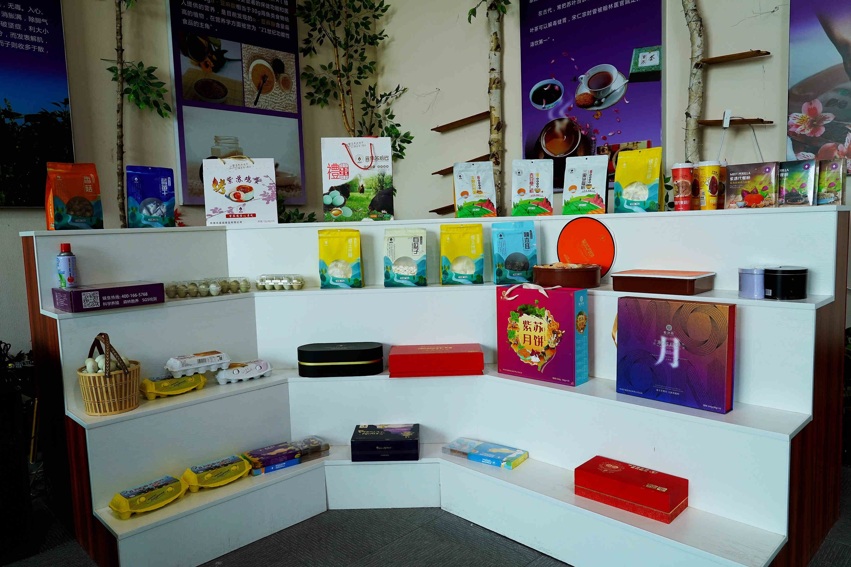 桦南紫苏种植基地在哪里,桦南紫苏简介