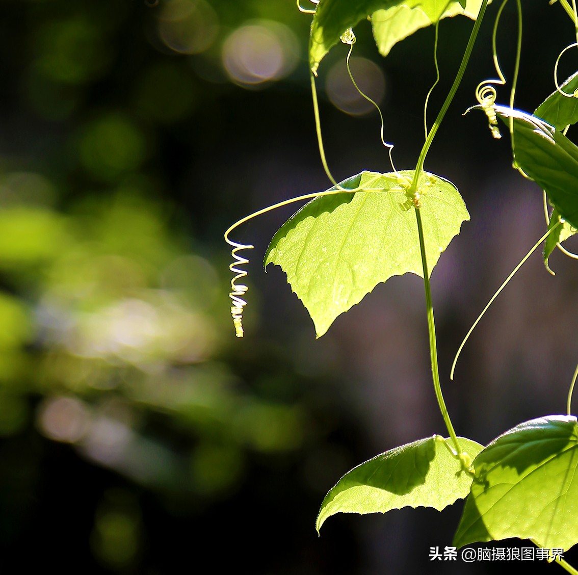 佳能6d现在有新的吗,佳能6d相机寿命多少时间