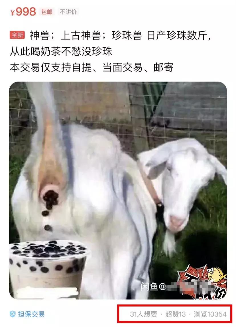 闲鱼神兽,在闲鱼上面买的宠物是真还是假
