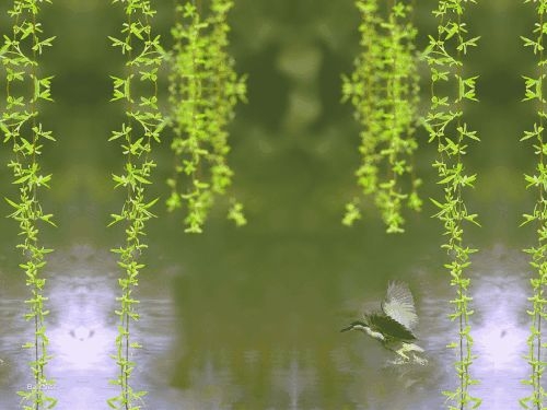 散文题材推荐,散文该写些什么