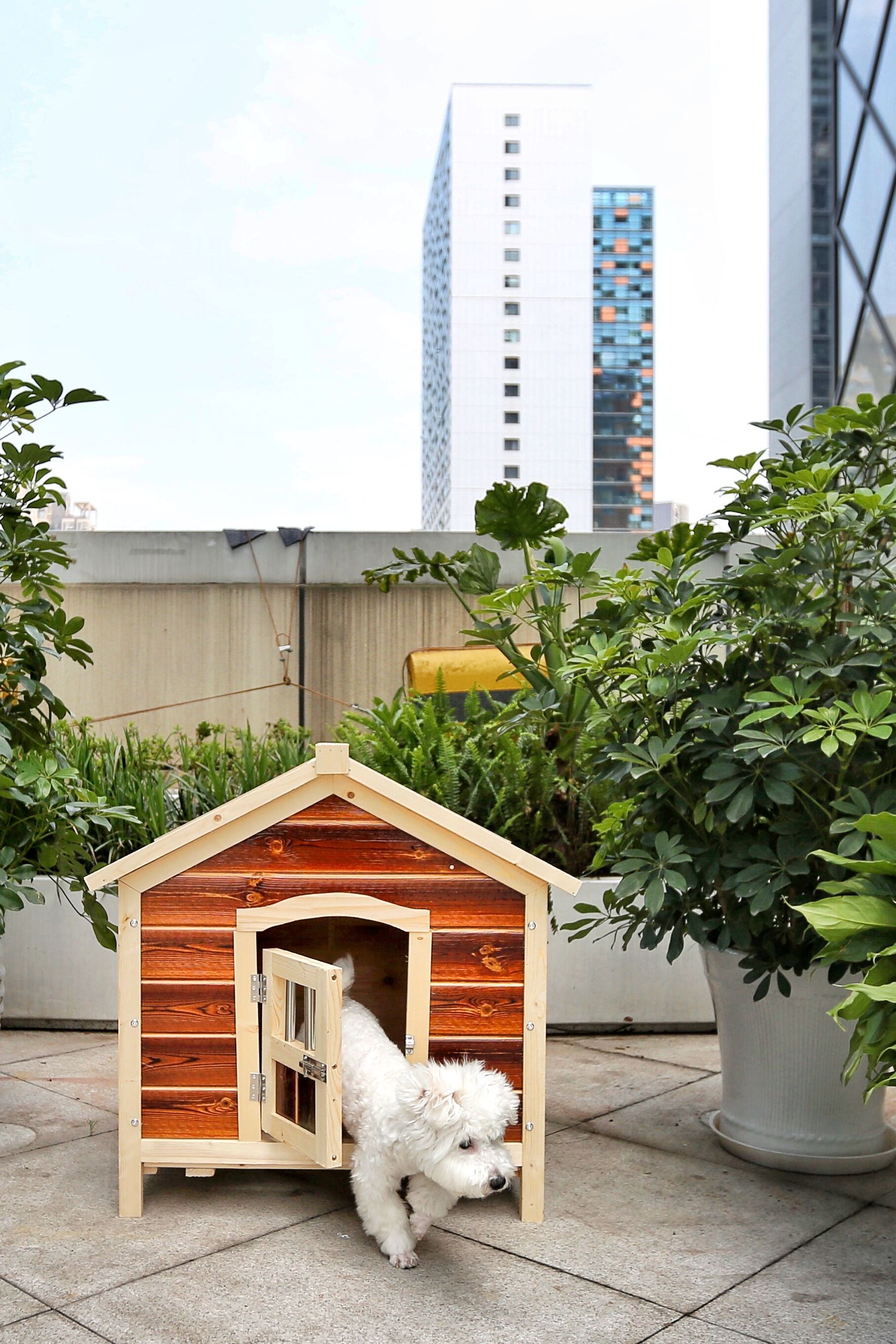 任性的重庆渝融豪生:坐落三轨之上,便捷扫街购物,允许携带宠物