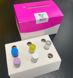 自己如何检测新型冠状病毒,新型冠状病毒最有效的检测方法