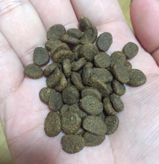 双11囤纯猫粮怎么囤,猫粮推荐排行榜双11