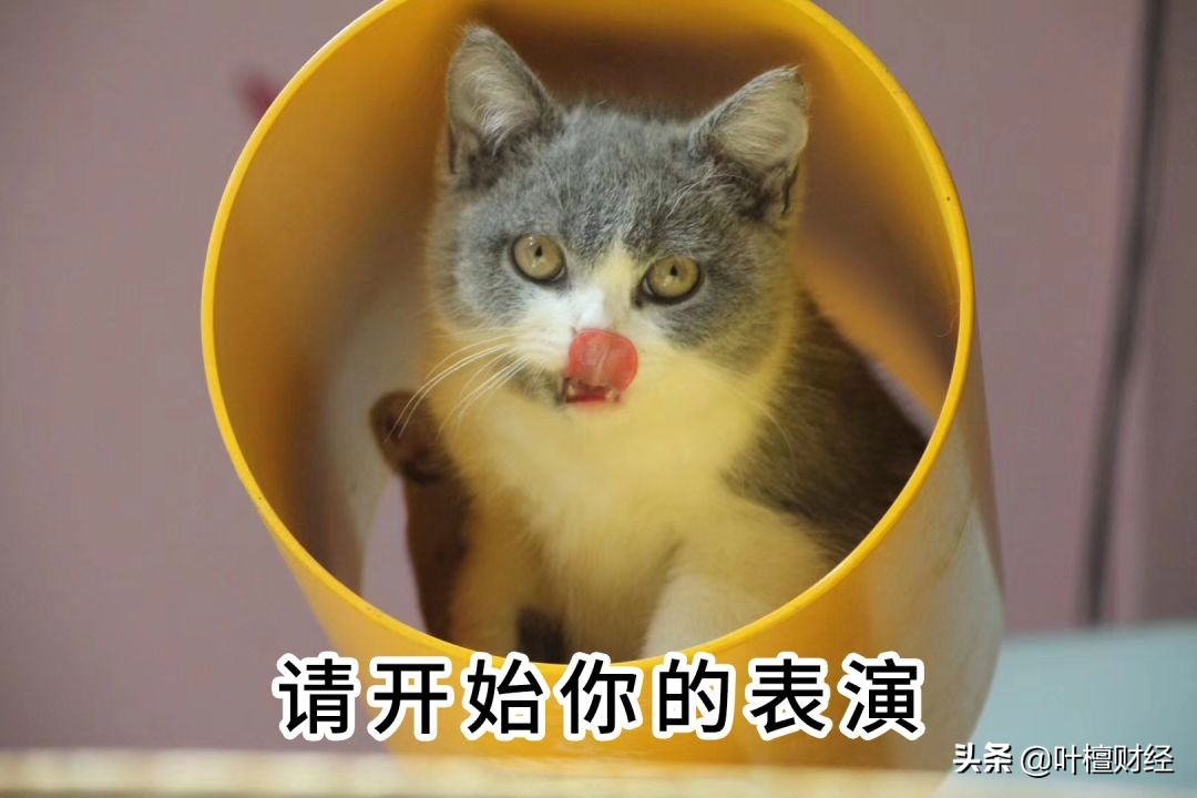 怒怼第三方催债,霸气回怼第三者