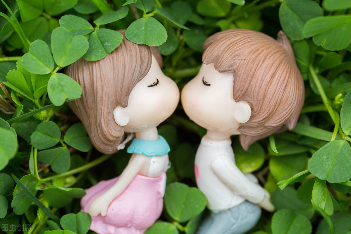 四月芳菲左京小说内容,四月芳菲小说