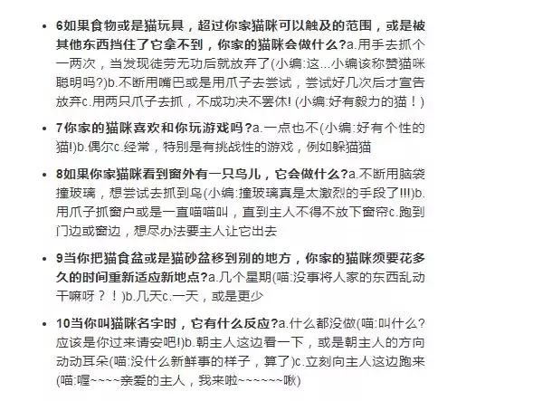 猫咪有个超有情商的铲屎官,猫咪智商测试果然豆丁智商最高