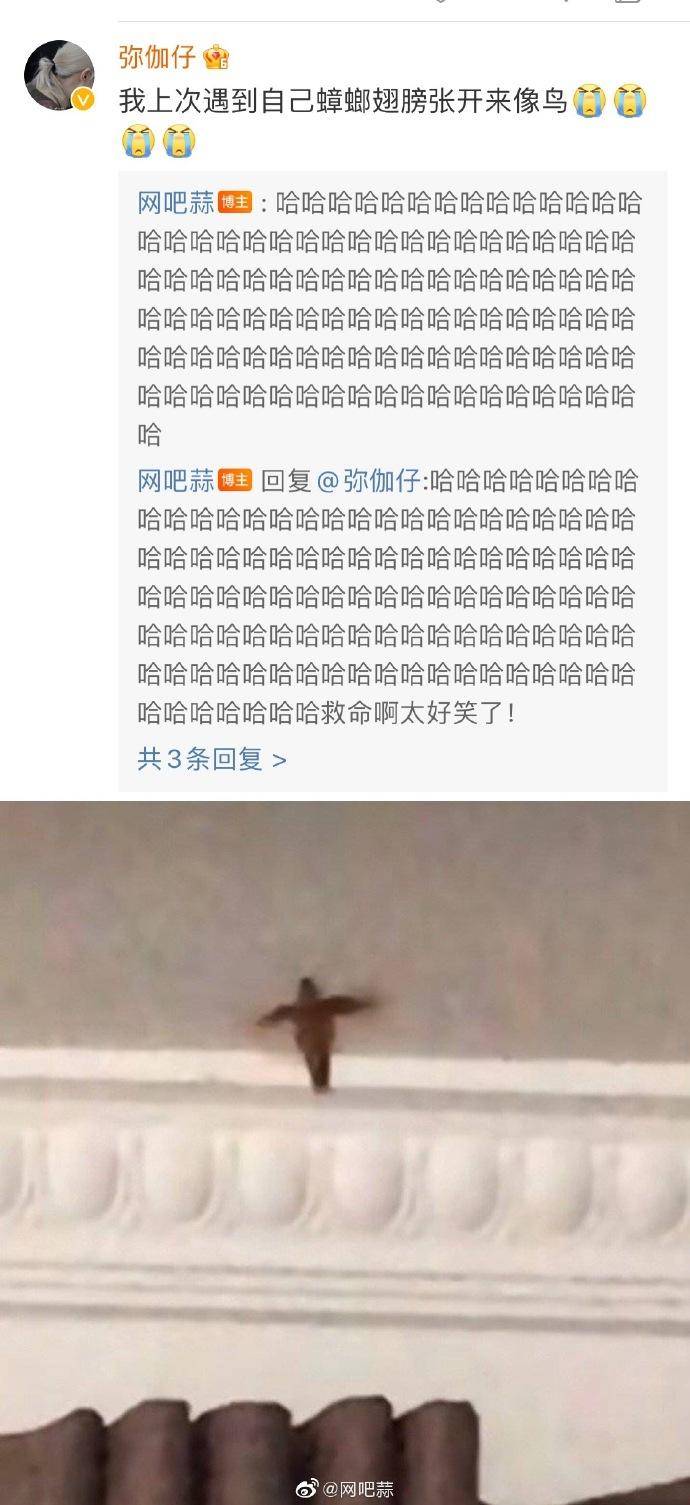 被意大利人骂了这么多年，原来是冤枉的丨互联网冲浪手册