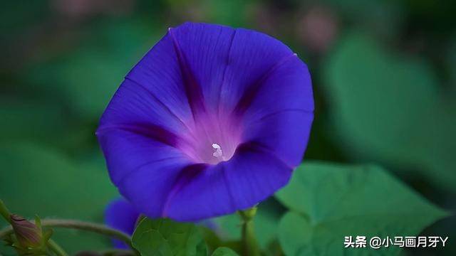 千字文全文注音版,千字文注音逐句解释