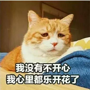 魔都四月赏花,魔都春季赏花好地方