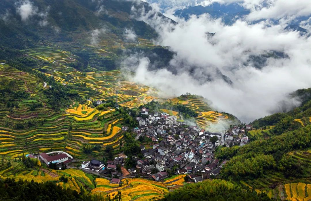 椋庣墿涔嬮兘,椋庣墿鍥涘窛