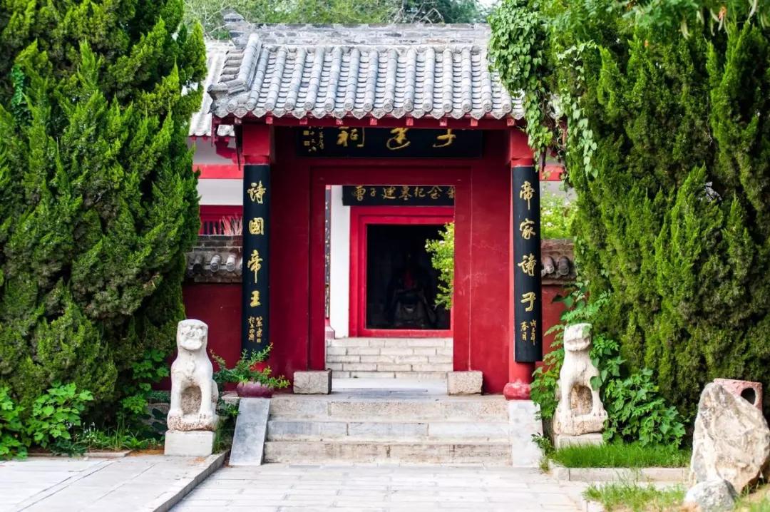 大美在东阿的视频,东阿大美