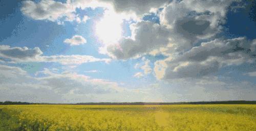 冬季最热门的旅游地,冬季十大必去旅行地