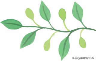 塞舌尔伊甸园蓝天碧海,塞舌尔伊甸园旅游攻略