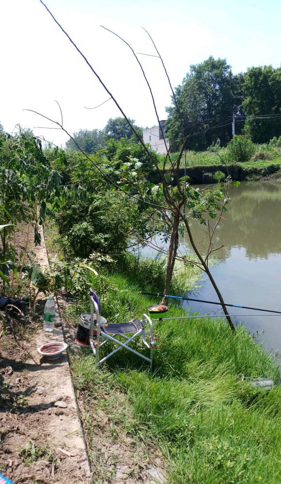 重窝鱼不开口怎么回事,窝里鱼很多就是不开口