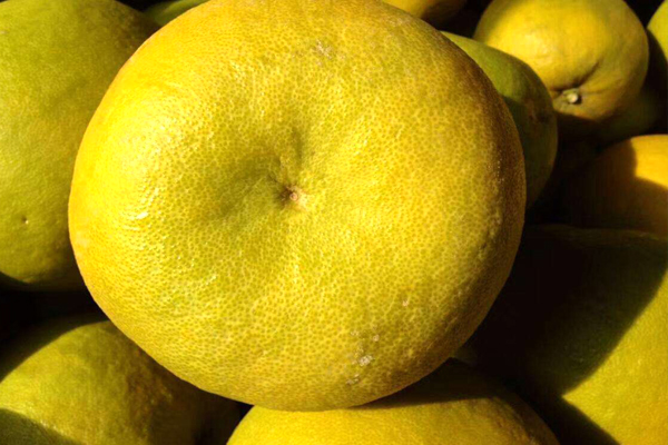 张家界菊花芯柚,菊花芯柚是张家界特产吗