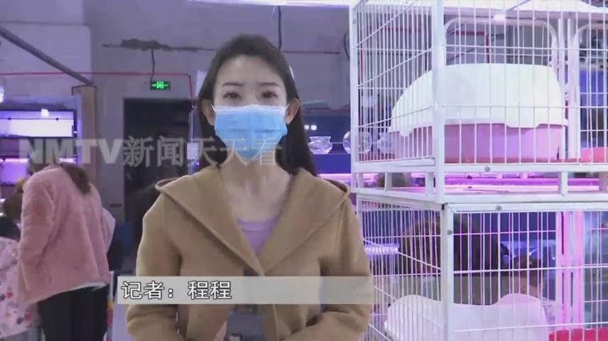 呼和浩特一女子花1500元买了只小猫，几天后孩子身上竟出了红疹？！女子投诉猫舍职能部门介入
