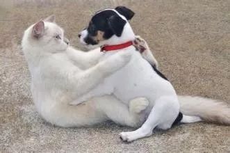 泰国游注意事项及安全,泰国游第一次坐飞机注意事项