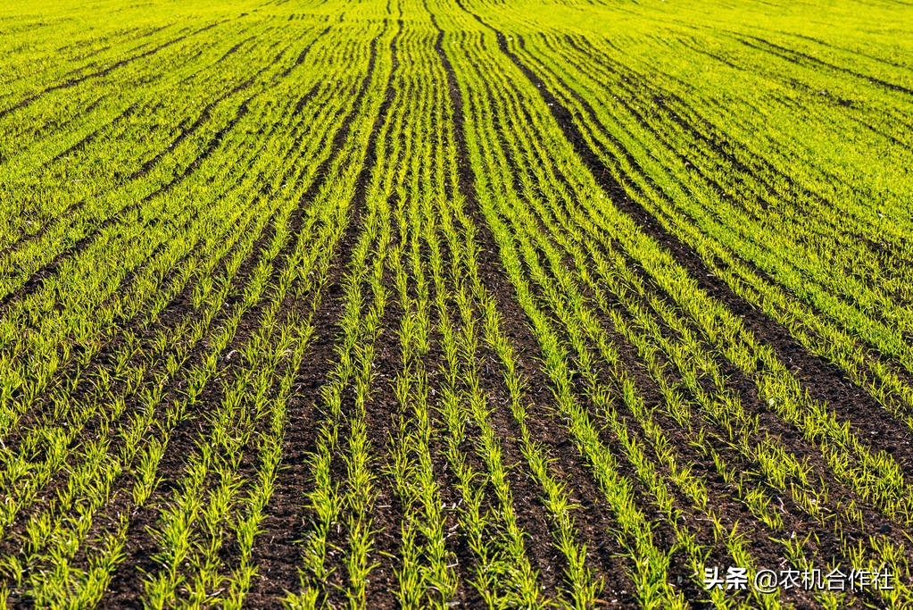 广汉市惠民农机专用合作社地址,注册农业农机合作社
