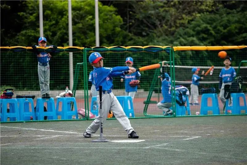 成华区石室小学,成都万象城石室小学划片区